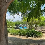 Ammaliante