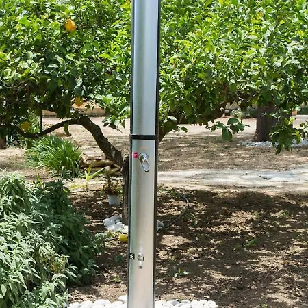 Ammaliante Menfi